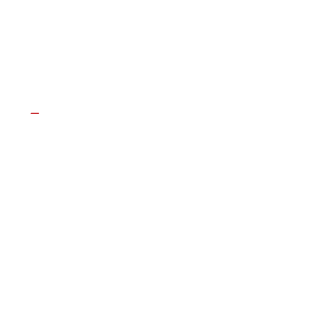 Drone Brothers